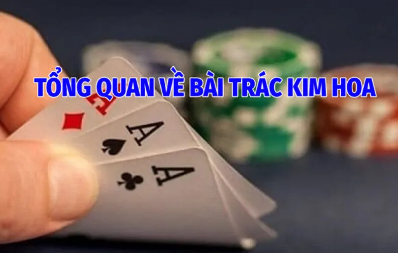 Tổng Quan Về Bài Trác Kim Hoa 009 